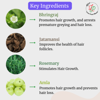 Herbal Hair Growth Oil - Image 3